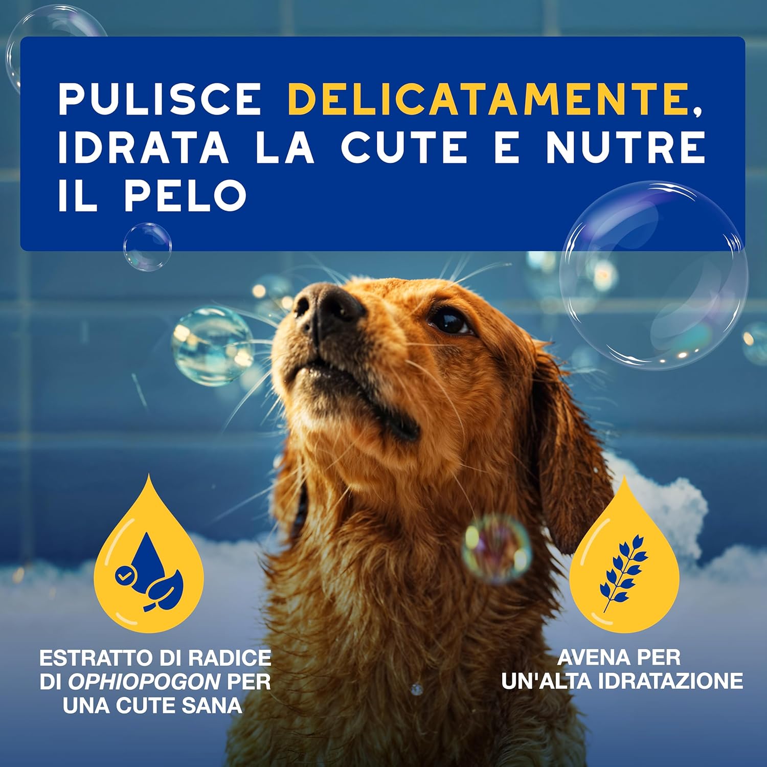 Detalle 2 de DOUXO Shampoo all'Avena 250 ml