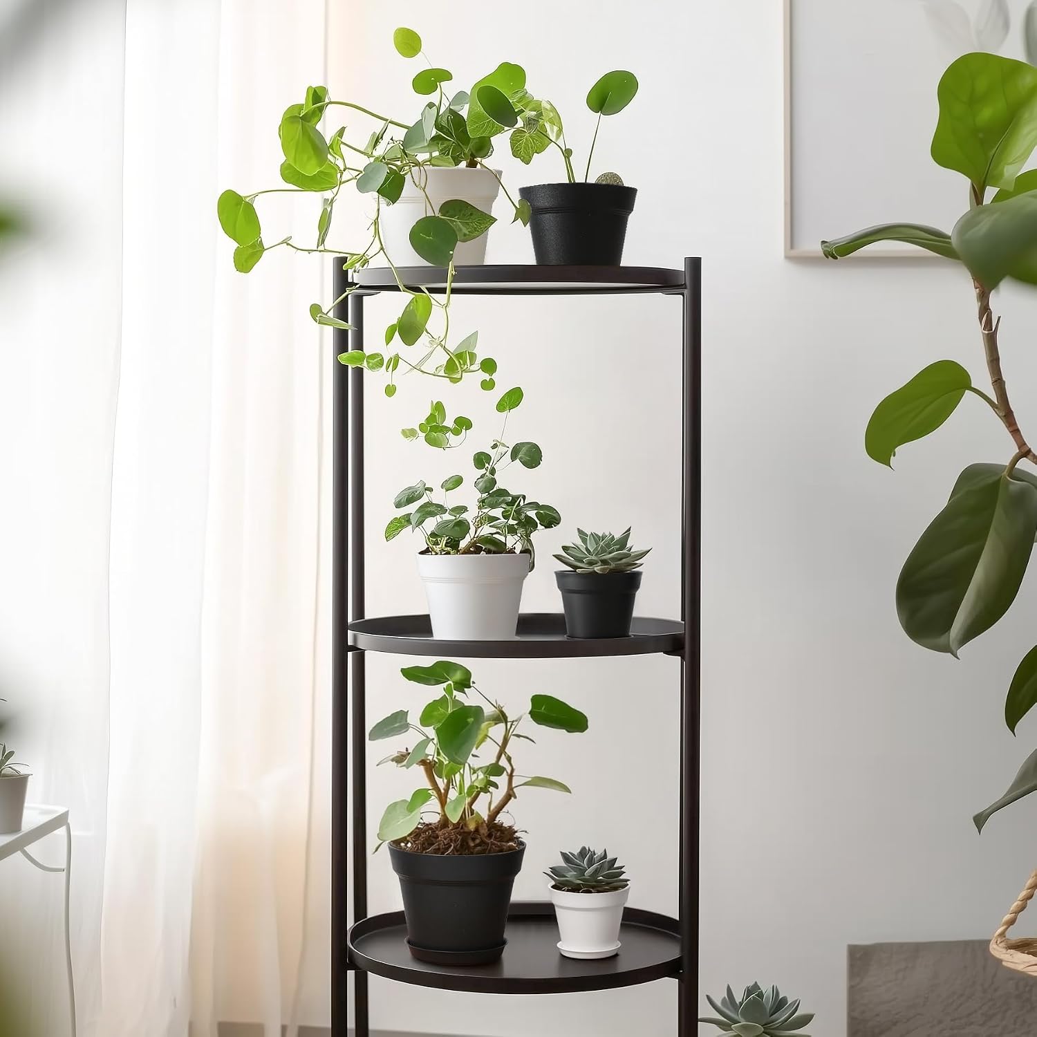 Thumbnail 6 de T4U 16cm Kunststoff Blumentopf 6er-Set
