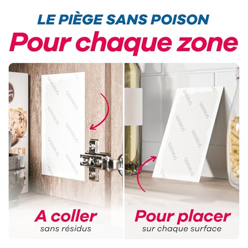 Detalle de GEROBUG Piège à Mites Alimentaires XXL Pack – 10 pièges sans odeur, longue durée