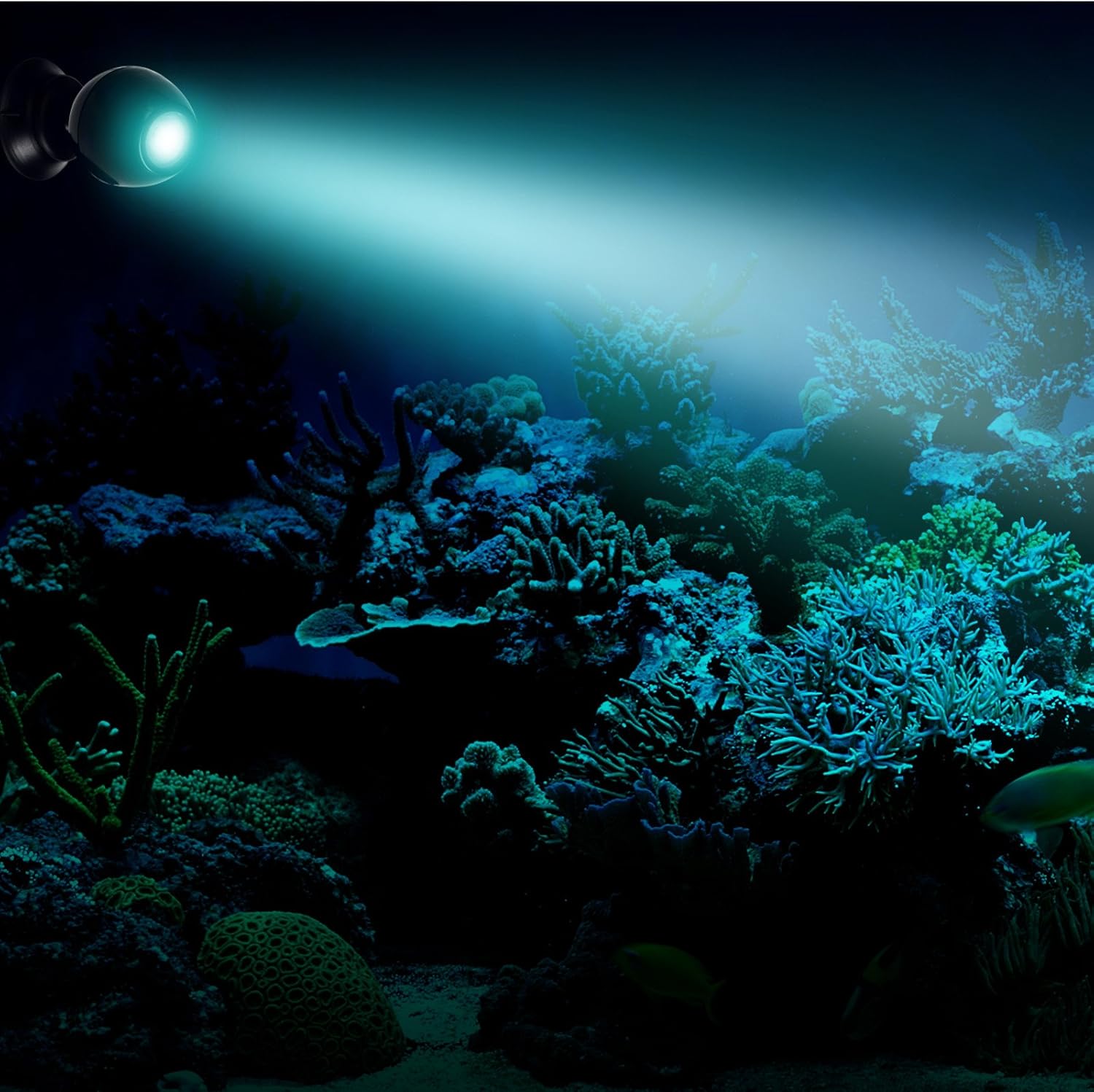 Detalle de Fluval 2.0 PRISM Spotlight – LED-Beleuchtung für Süßwasser- und Meerwasseraquarien (6,5 W, 1 Stück)