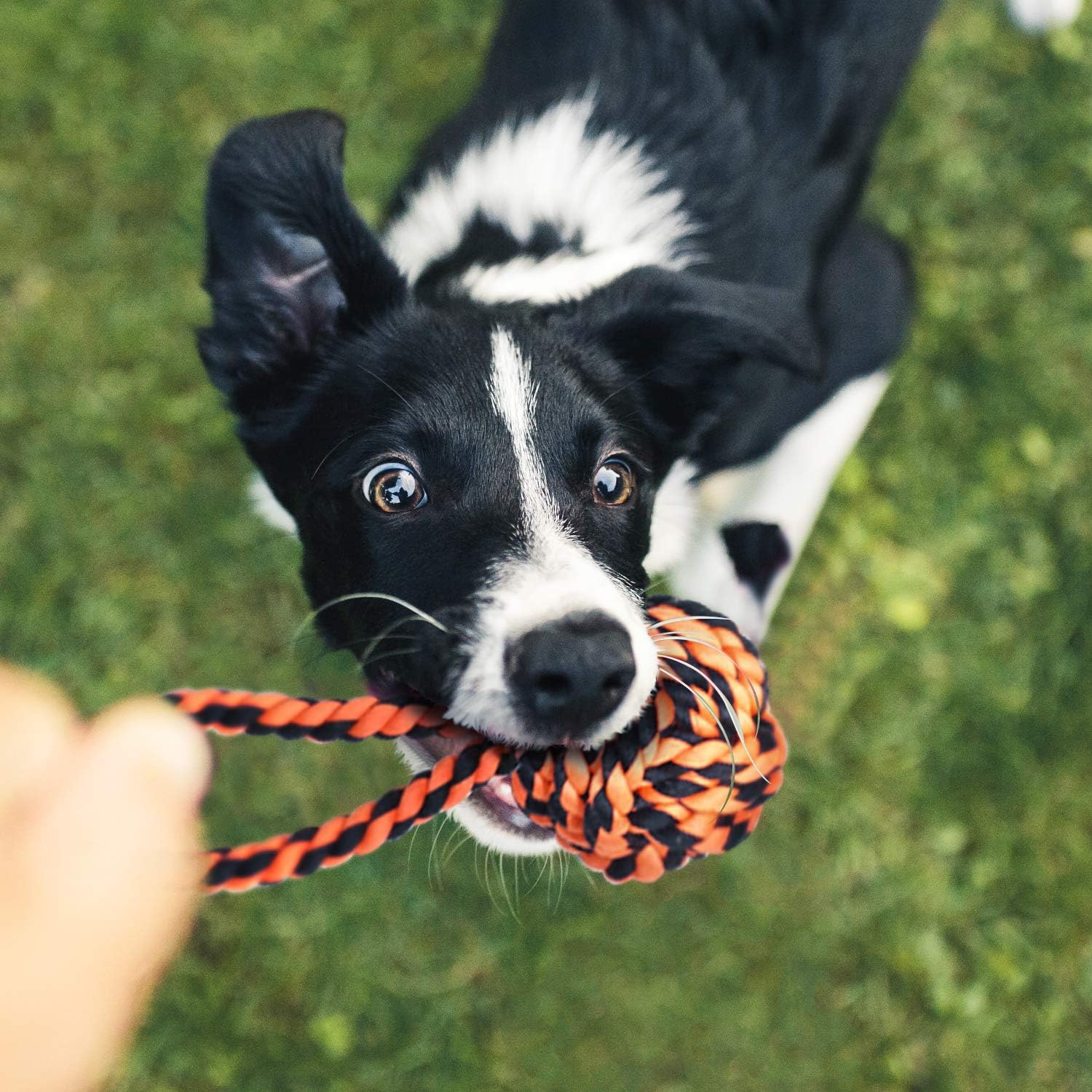 Thumbnail 6 de SHARLOVY Tough Chew Rope Toys 9 Pack