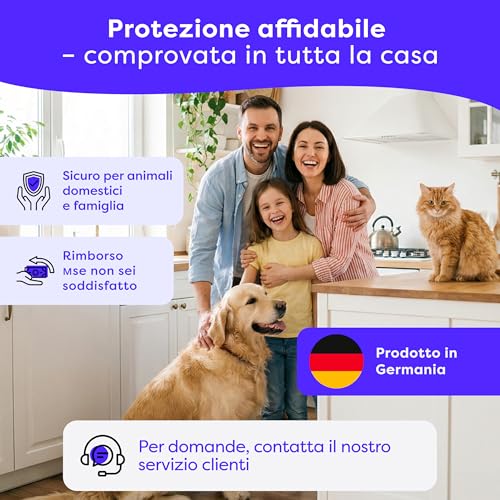 Thumbnail 8 de Wolkenfeld Trappole Farfalline Alimentari Adesive 12x – Monitoraggio Naturale in Dispensa