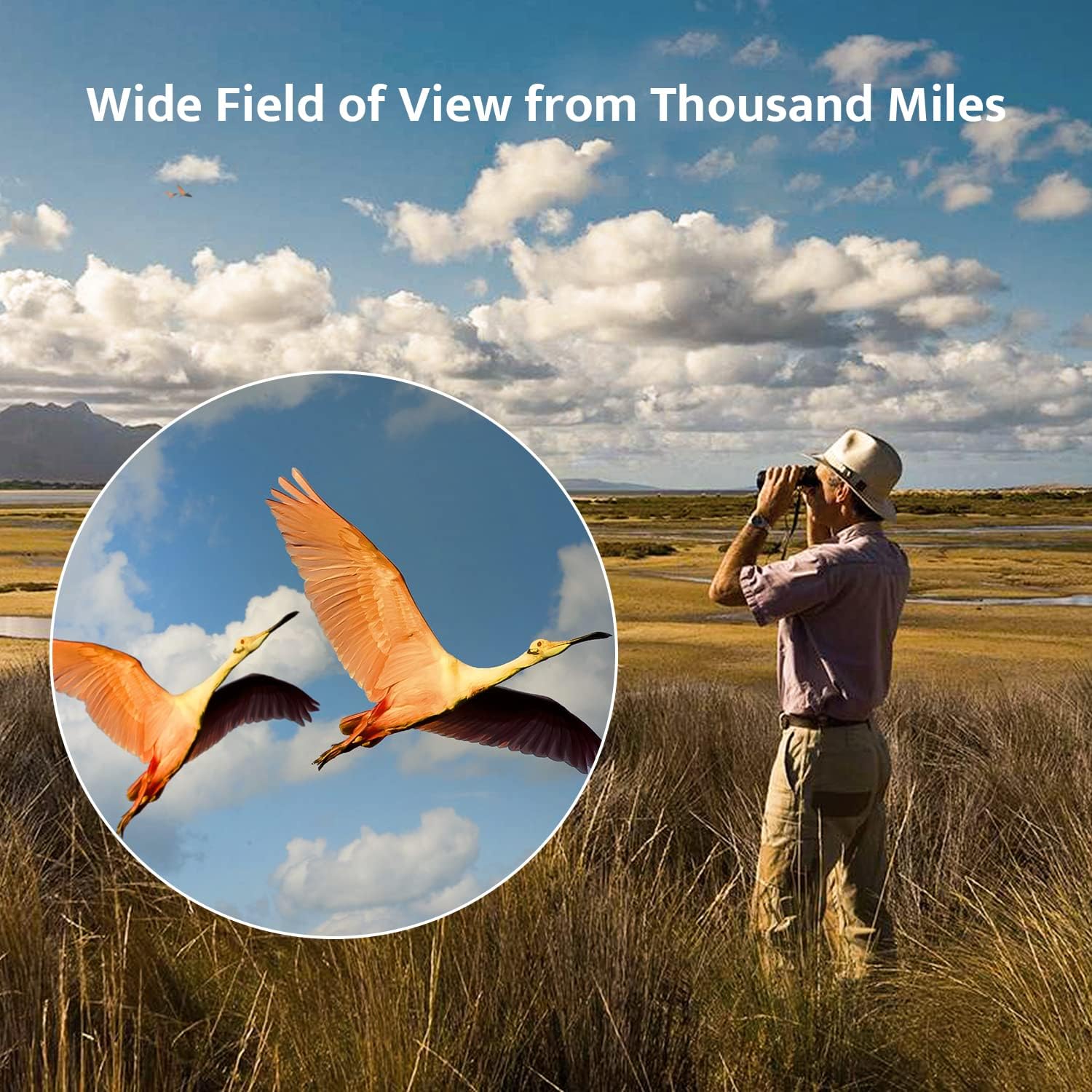 Thumbnail 4 de usogood BaK-4 12x50 high-power binoculars for birding 🔭