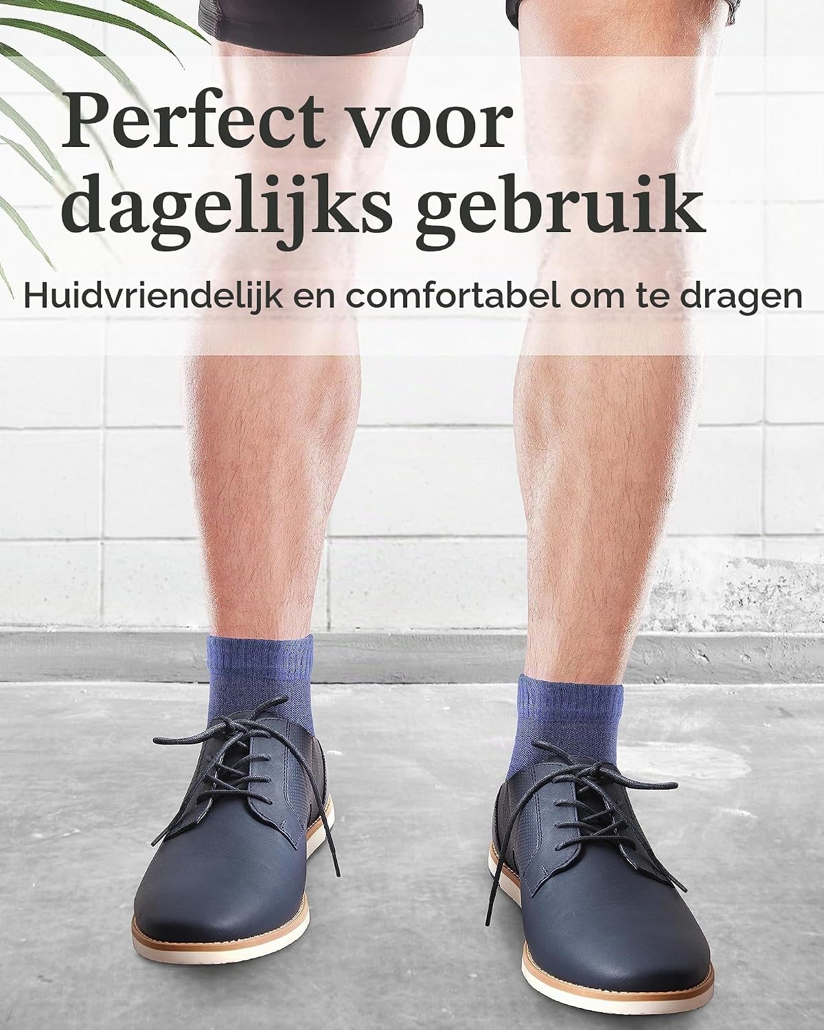 Thumbnail 3 de Fiera Besa Herren Diabetiker Ankle bamboesokken met Lycra, enkellengte, 4 paar