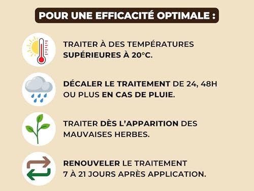 Detalle de Vinaigre Désherbant PROTECT EXPERT Prêt à Verser Grand Format 5L