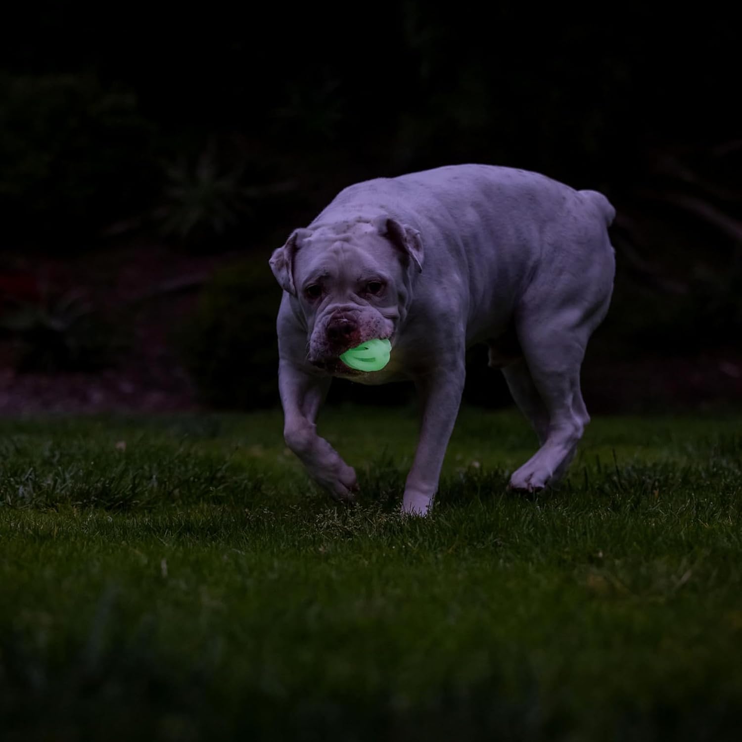 Thumbnail 5 de Chuckit! Air Glow Ball 6,5 cm phosphorescente