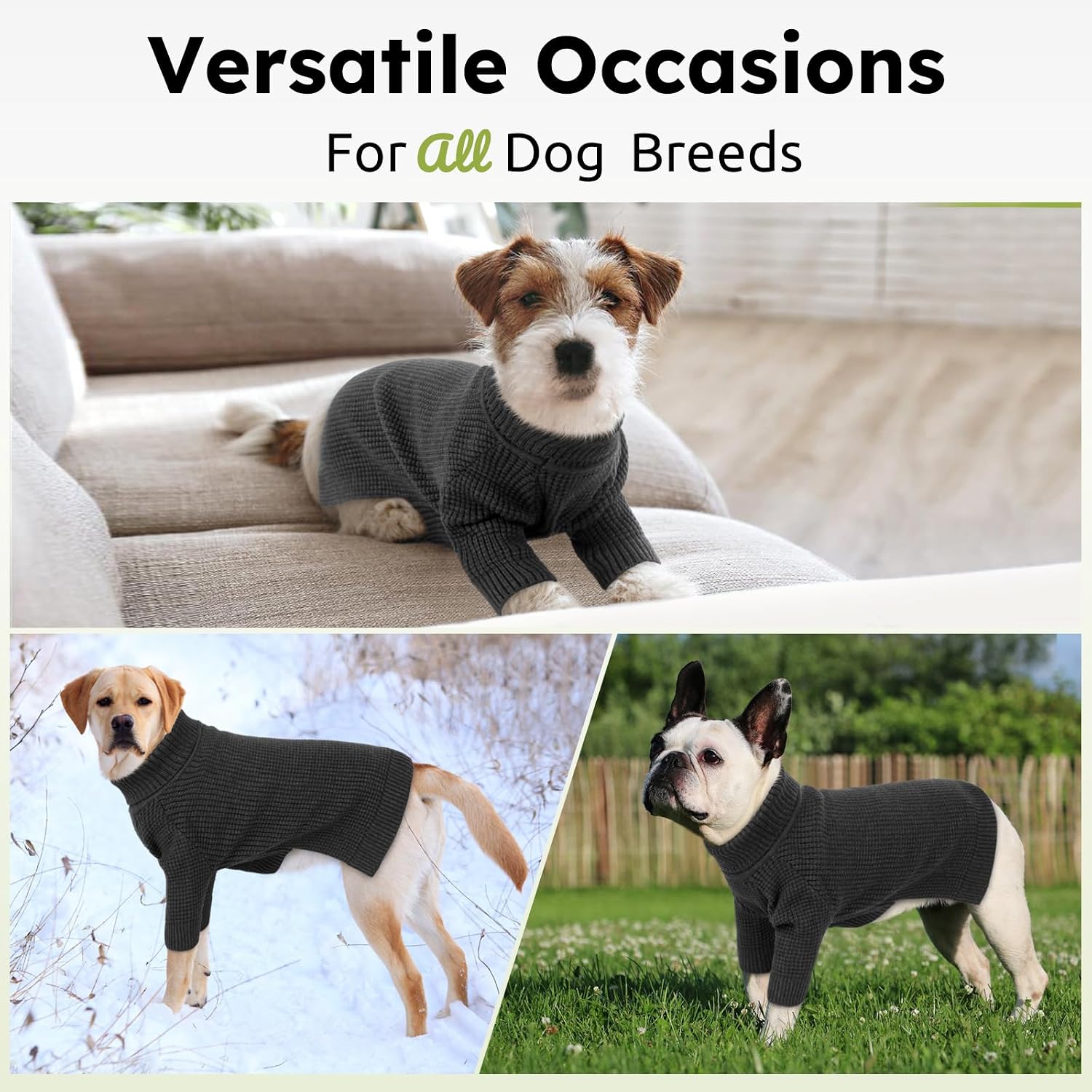Thumbnail 4 de Queenmore Turtleneck Dog Sweater 3XL