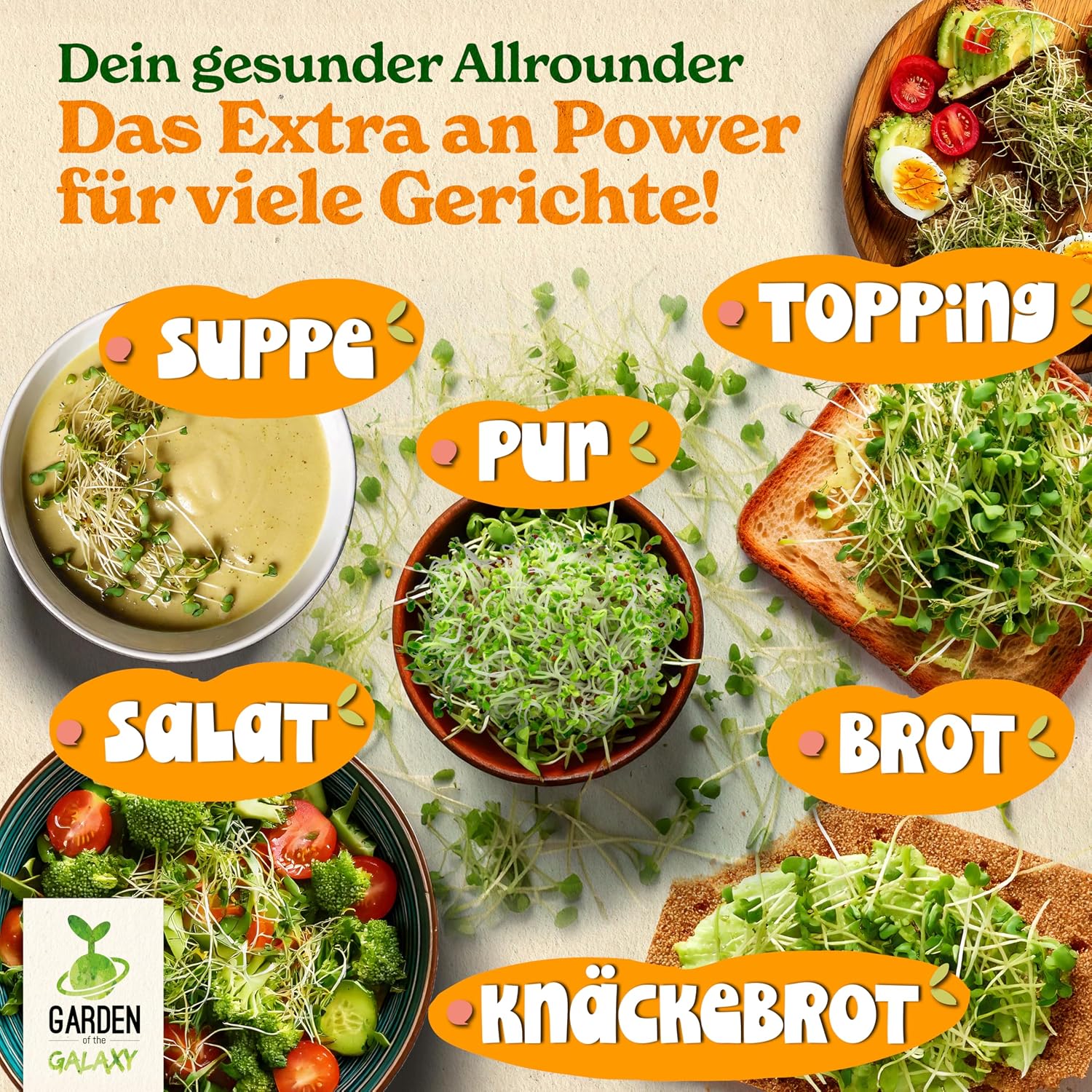Thumbnail 5 de Brokkoli Samen Bio [500 g] – Hoch Sulforaphan-Gehalt aus Brassica rapa sylvestris, direkt aus Italien