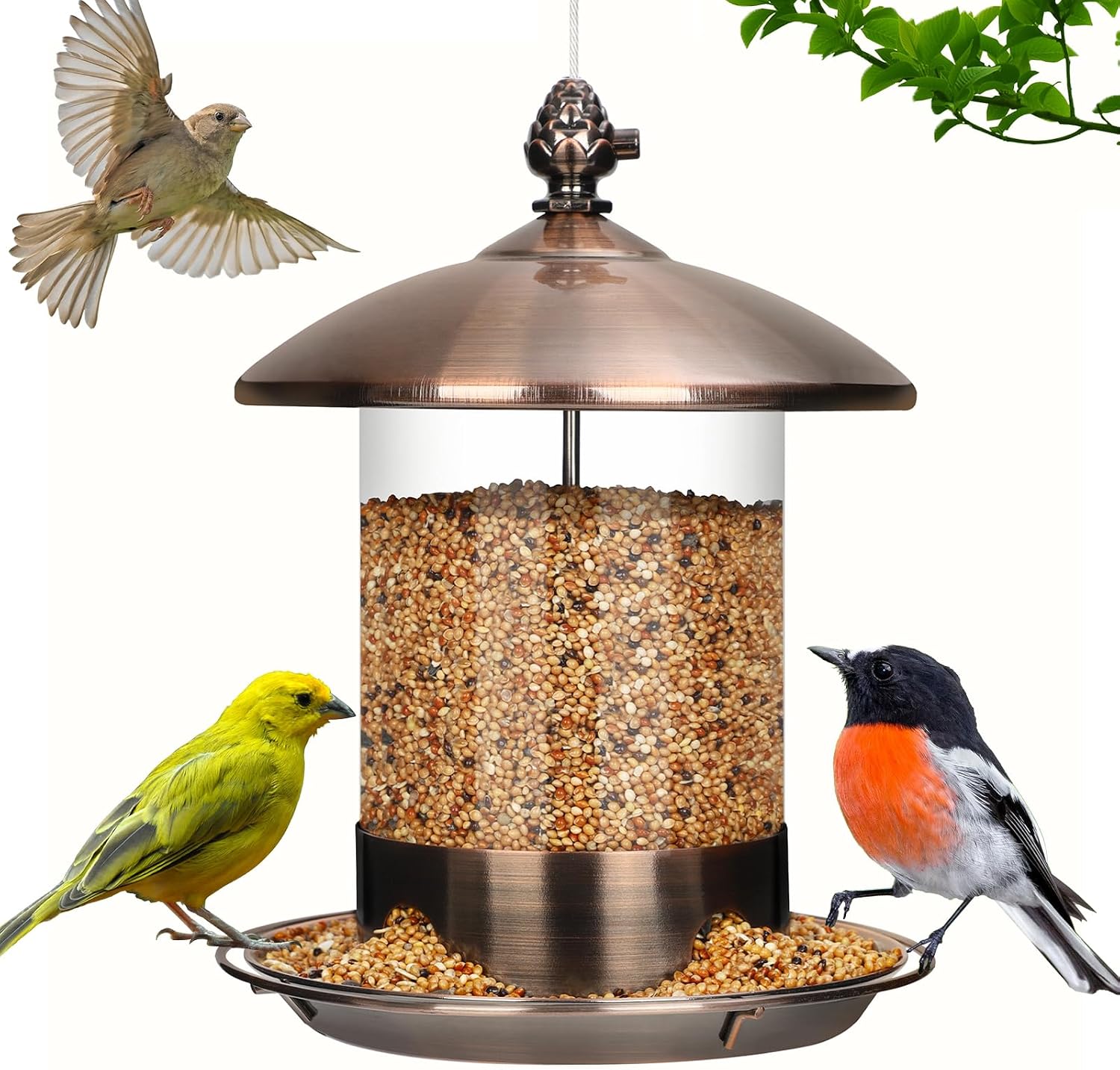 Detalle de Gbekery HKTY-WSQ-GTCG Hanging Bird Feeder, 2 lb Capacity, Copper, 360° Tray