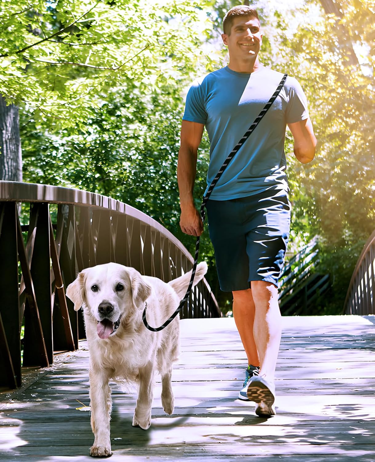 Thumbnail 3 de oneisall Laisse de Chien Grand & Moyen (15–60 kg) 3 m avec réfléchissant, charge annoncée jusqu’à 200 kg