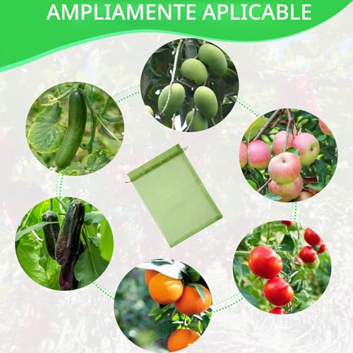 Detalle de LINSOCLE Bolsas para Uvas en Parra 30x40cm (50 Piezas) – Protección Transparente y Reutilizable para Uvas, Frutas y Semillas