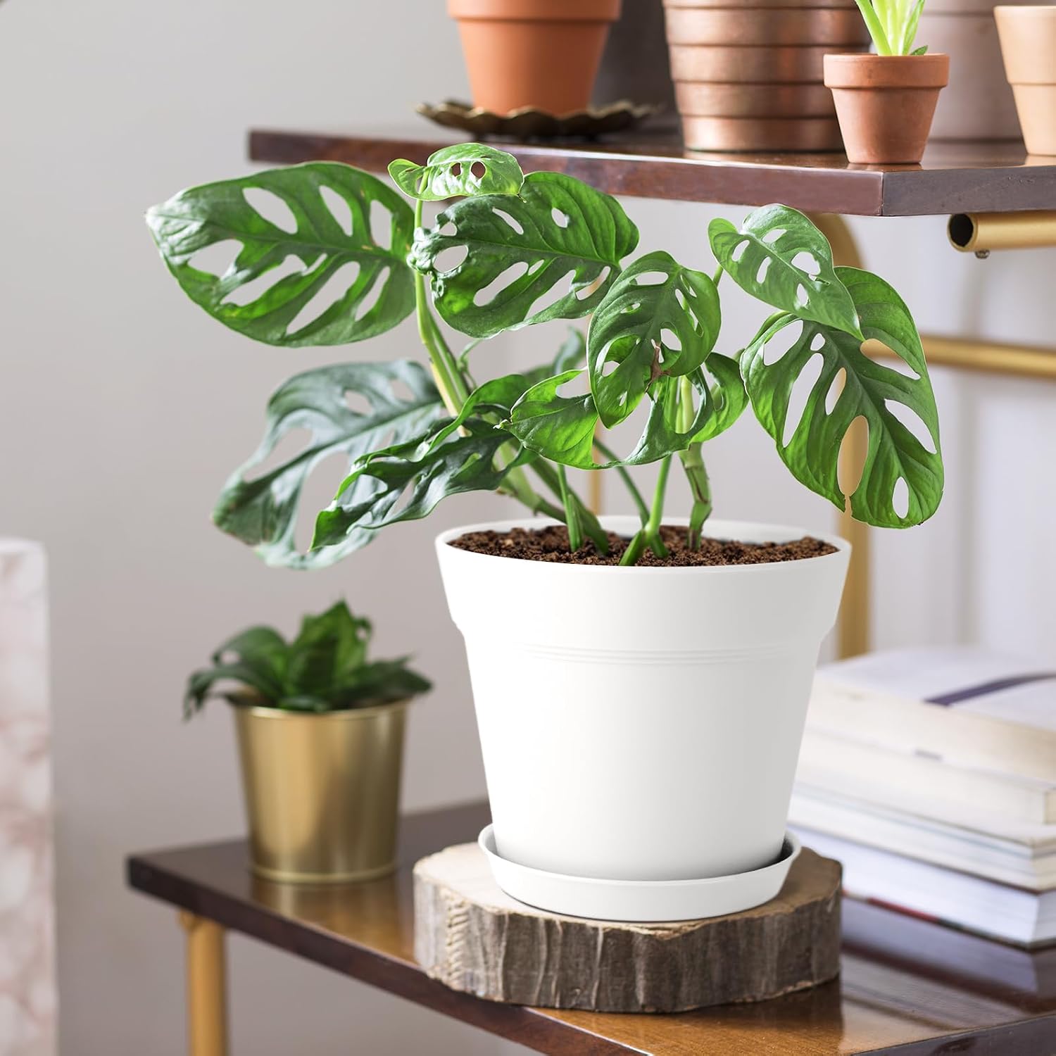 Thumbnail 5 de FORAGIFT 15cm Plant Pots 16 Pack
