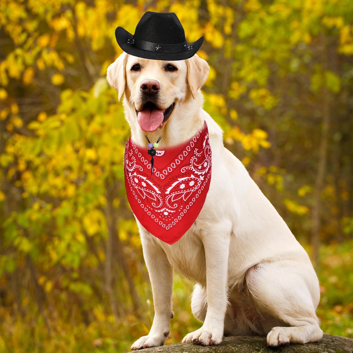 Detalle de GOYOSWA Dog Cowboy Costume Large
