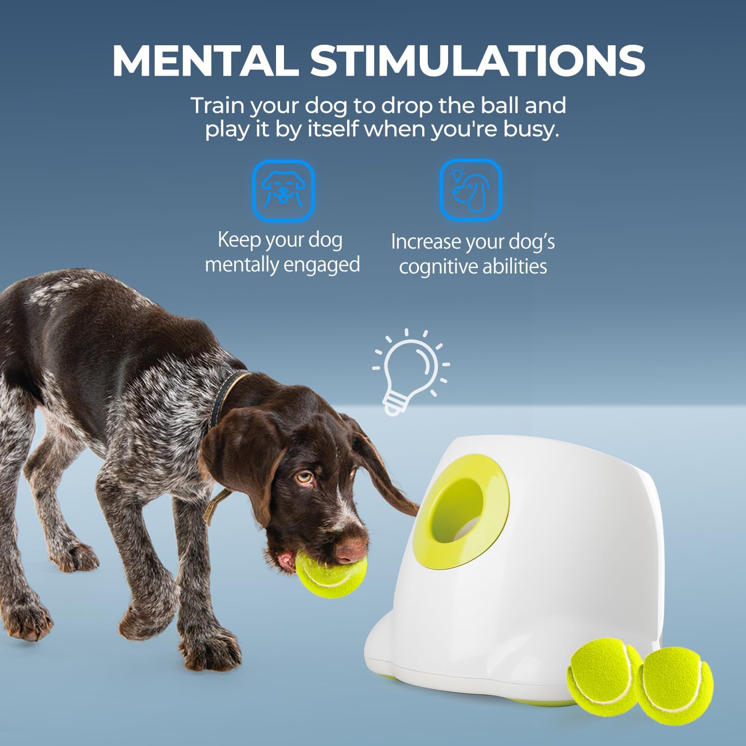 Thumbnail 2 de All for Paws Automatic Dog Ball Launcher – Rechargeable Interactive Fetch Toy (3 Balls Included)
