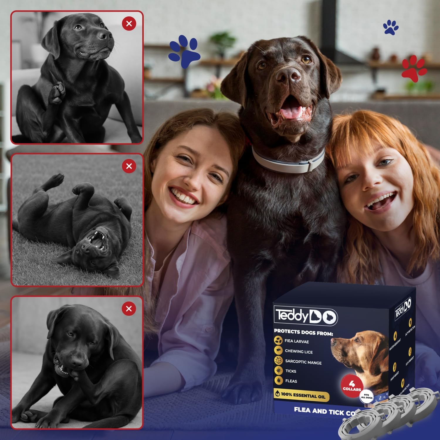 Thumbnail 4 de TeddyDo 4 Pack Collar 32 Months