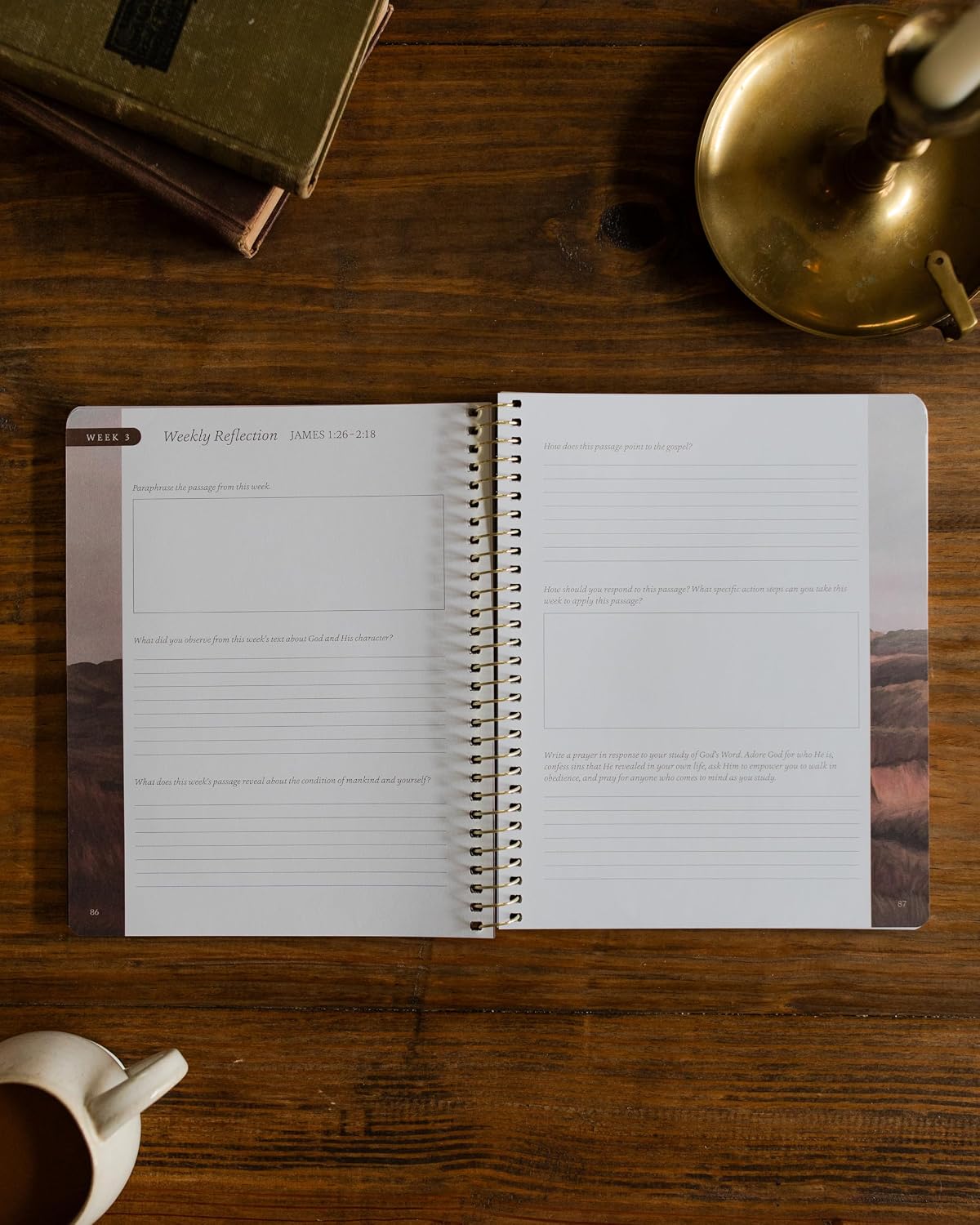 Detalle de The Daily Grace Co. James | The Steadfast Life Bible Study, 7-Week Spiral-Bound