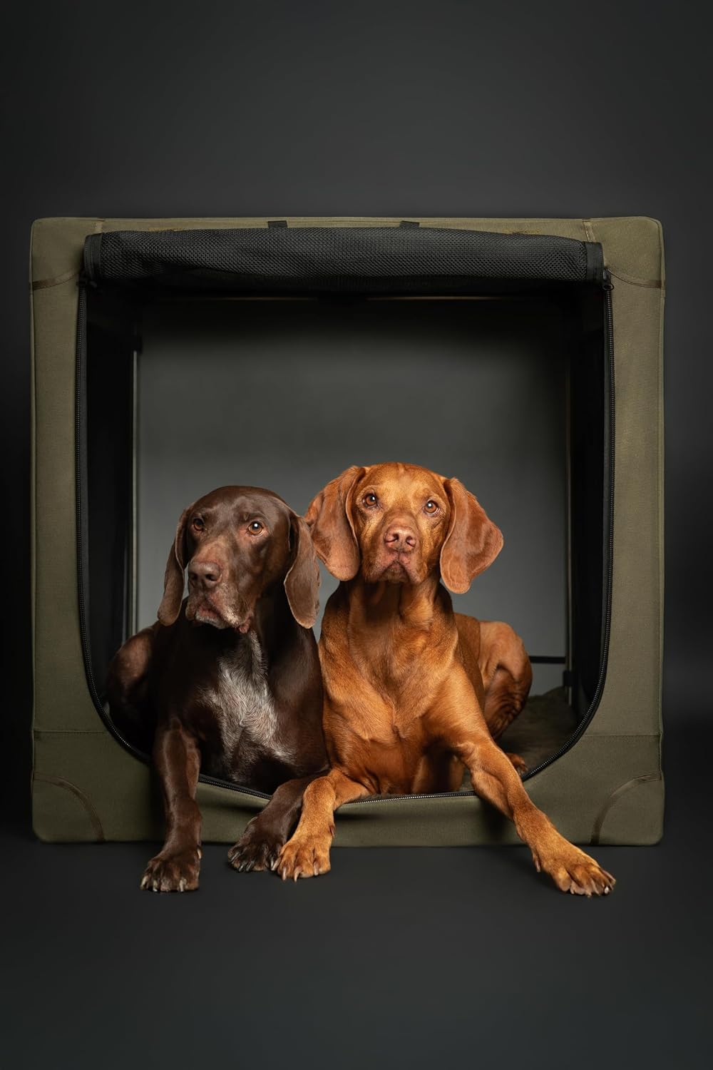 Thumbnail 2 de Noah & Paw Collapsible Dog Crate 36 Inches XL: Travel Kennel with Mat, Storage Pockets and 10mm Zips