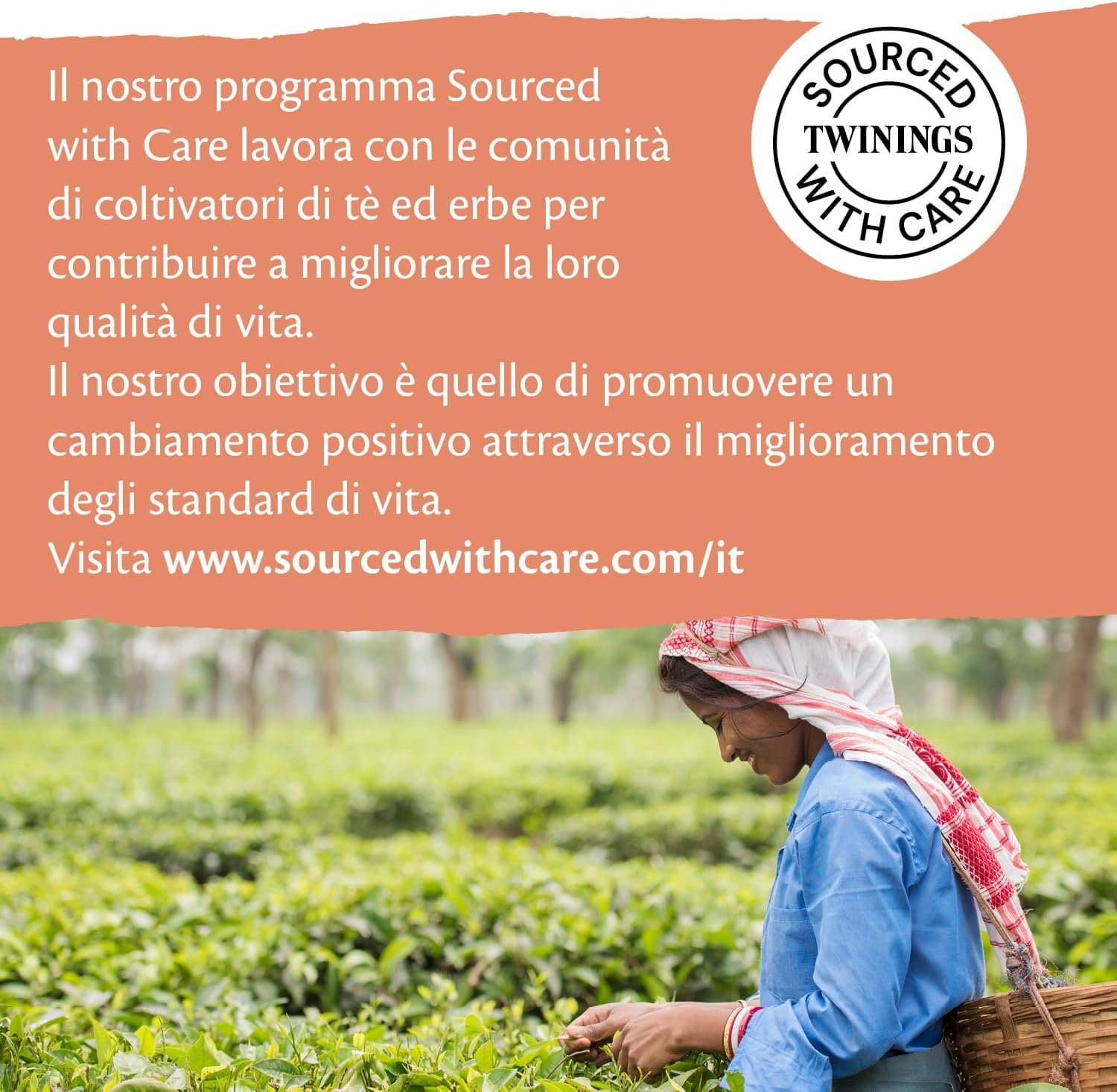 Detalle de Twinings English Breakfast Tea Sfuso – 8 confezioni da 100 g (800 g) | miscela classica e decisa