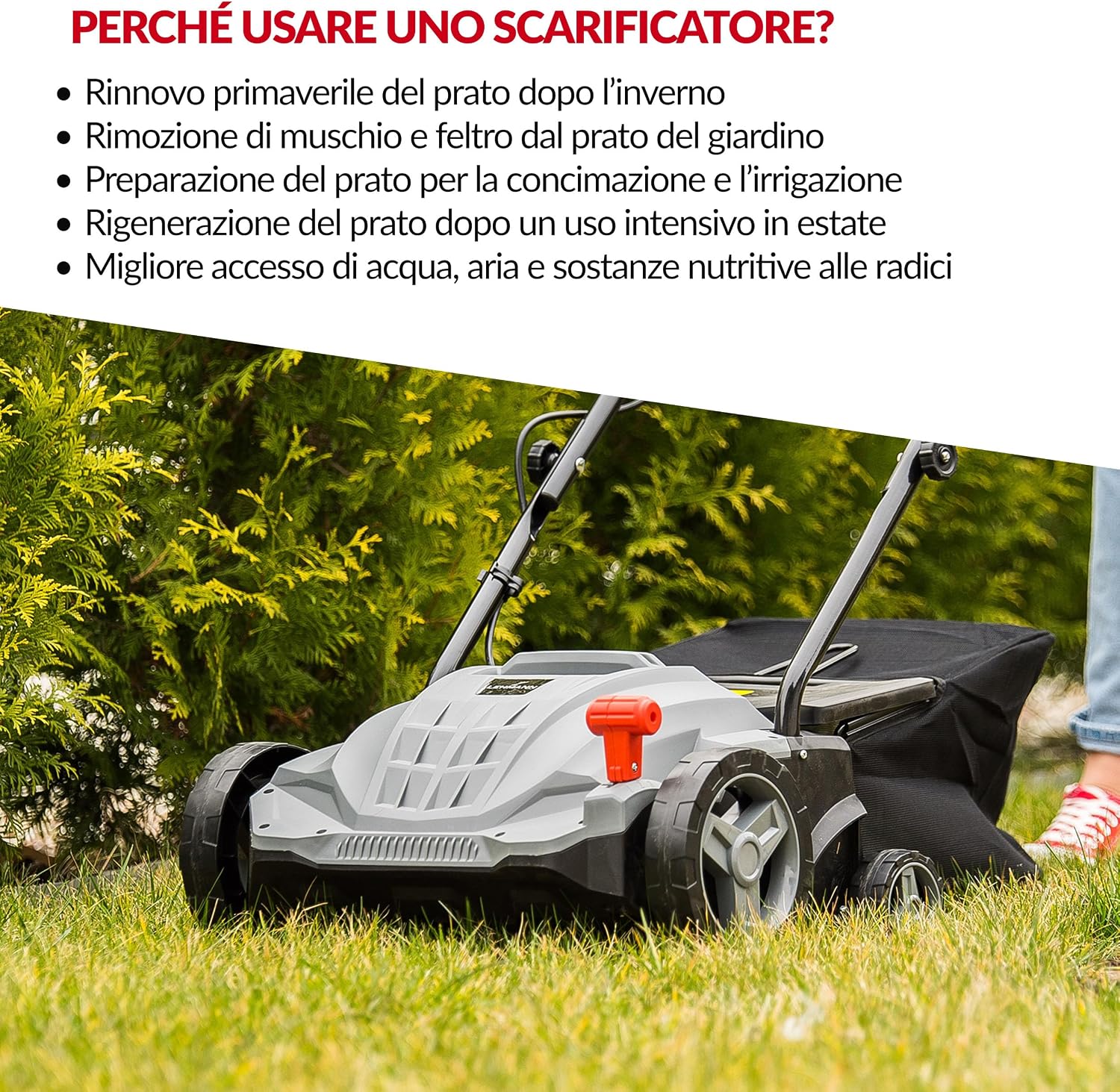 Thumbnail 6 de LEHMANN Alyssum Scarificatore Arieggiatore Elettrico 2 in 1, 1500 W, 32 cm, 30 L