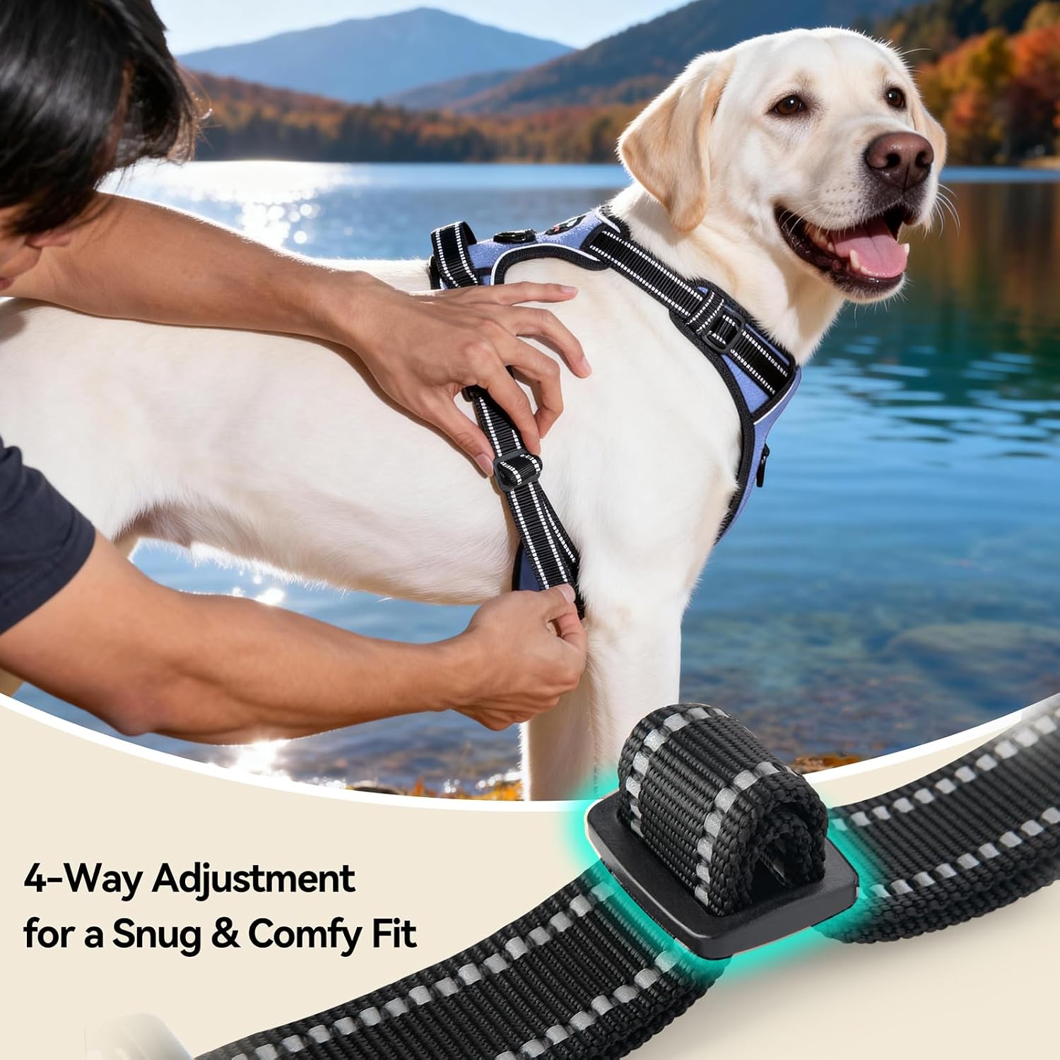 Thumbnail 5 de PHOEPET D2090 No-Pull Dog Harness, Small Baby Blue, Reflective Dual Clips