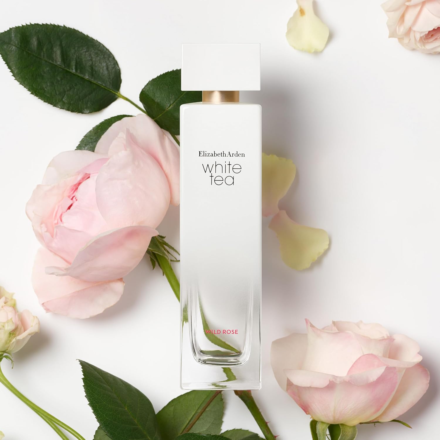 Detalle de Elizabeth Arden White Tea Wild Rose – Eau de Toilette, 50 ml, Damenparfum mit floraler Note und holzigen Akzenten
