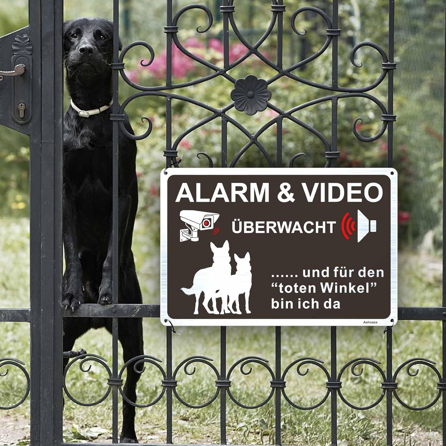 Detalle 2 de Ashoaza Schild Alarm und Videoüberwachung 30x20