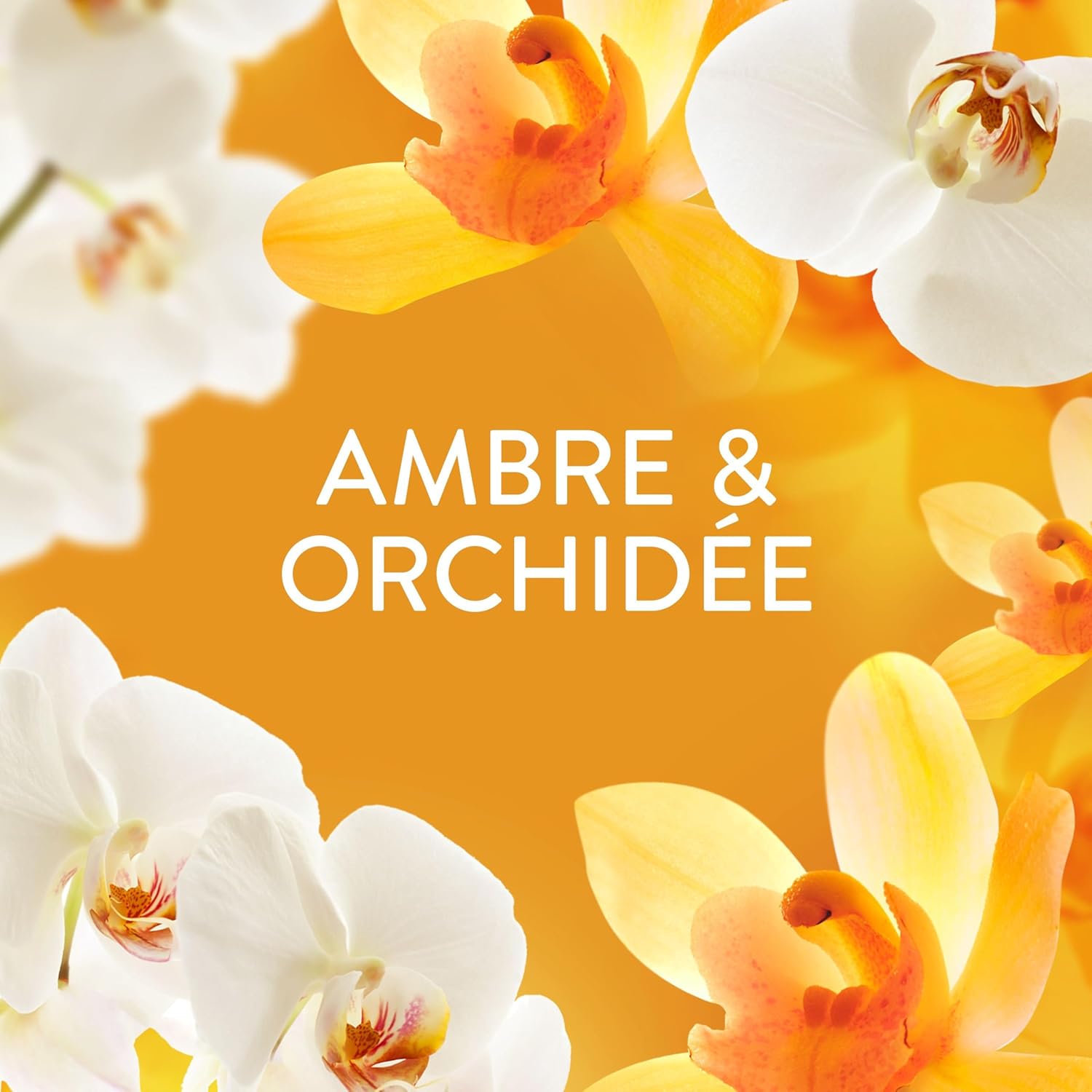 Thumbnail 5 de Lenor Adoucissant 440 lavages