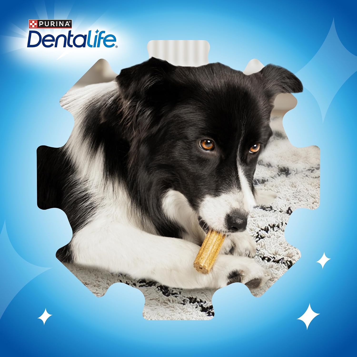 Thumbnail 6 de Dentalife Medium Dog Treat Dental Chew 42 Stick (Pack Of 2)