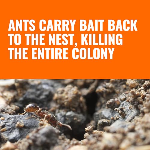 Detalle 2 de Terro Outdoor Liquid Ant Bait Stakes, 12-Pack – Ready-to-Use Outdoor Ant Killer Trap
