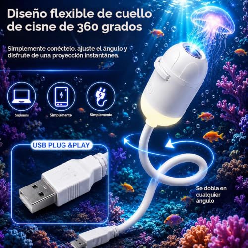 Detalle de HuaMuDM proyector 2 en 1
