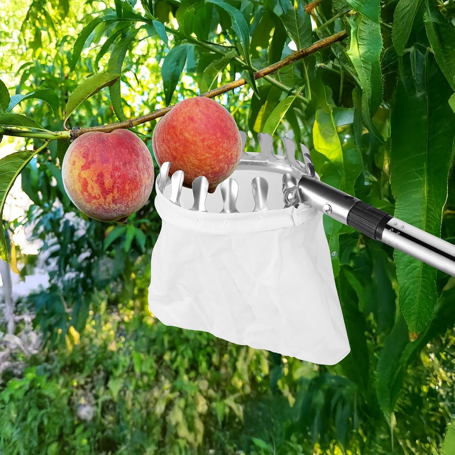 Detalle de DBREAKS YH-13661 fruitplukker met telescopische steel van 4,2 m