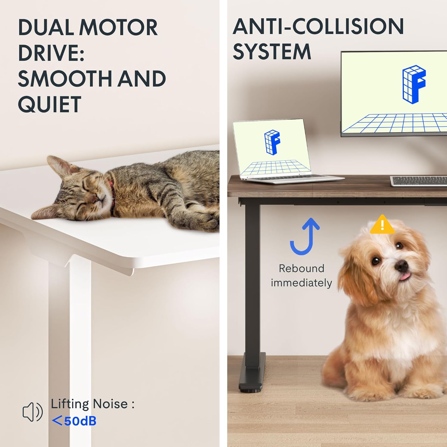 Thumbnail 3 de FlexiSpot Bureau Assis Debout électrique 120x60 cm, 2 moteurs, mémoire (plateau blanc + cadre blanc)