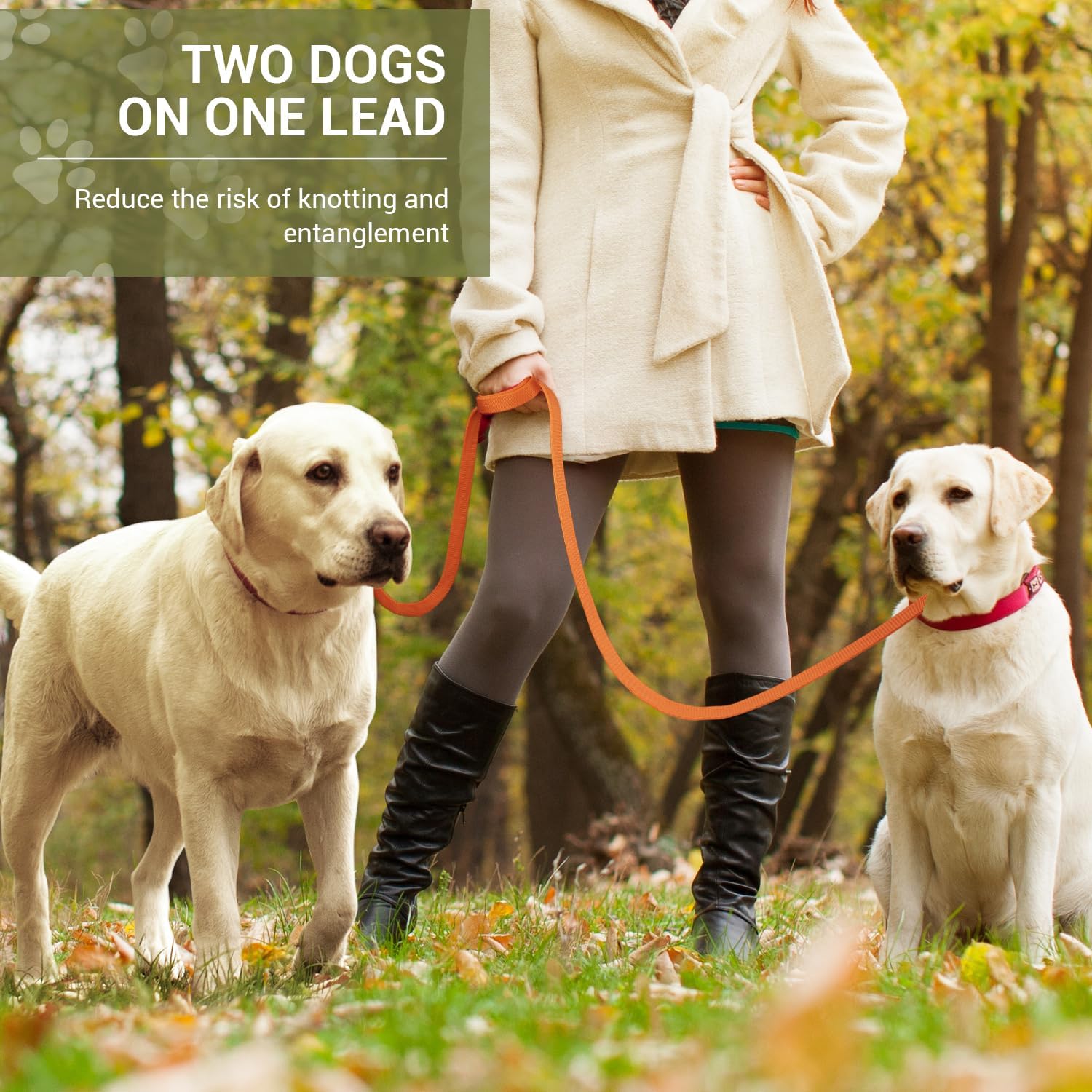Detalle de Hundeleine für kleine bis mittelgroße Hunde bis 30 kg – verstellbare Schleppleine 3 m mit Doppel-Leinenfunktion, Nylon, Orange
