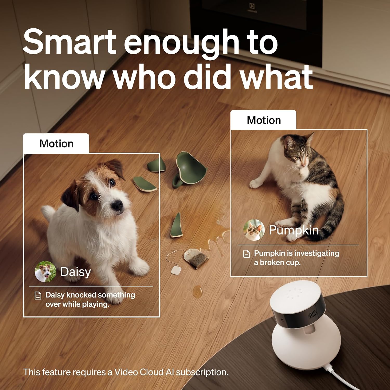 Detalle de PETLIBRO Scout AI Pet Camera (1080p Pan/Tilt) with multi-pet recognition, behaviour tracking and 2-way audio
