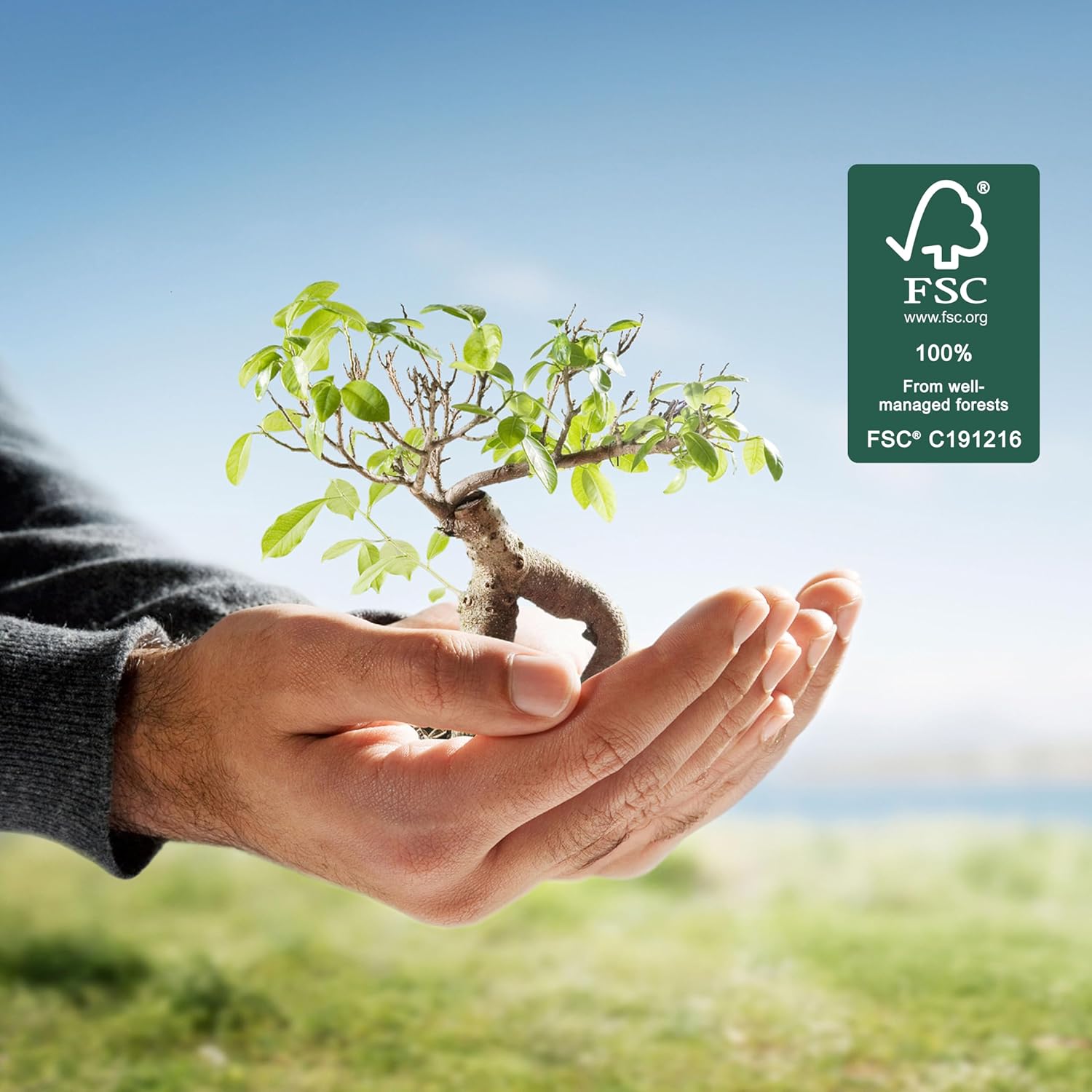 Thumbnail 5 de ARKRAFT Serpentine Luftschlangen 12 Rollen 🎉