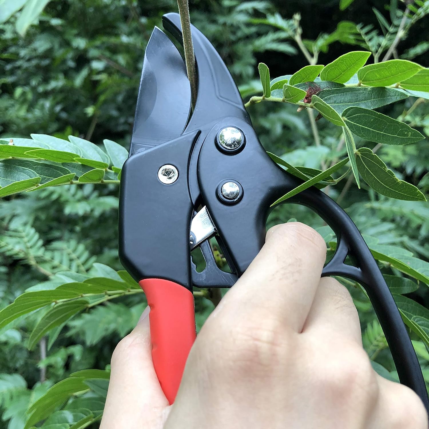 Thumbnail 5 de gonicc GPPS-1011 8-Inch Ratchet Anvil Pruning Shears, SK-5 Steel Blade