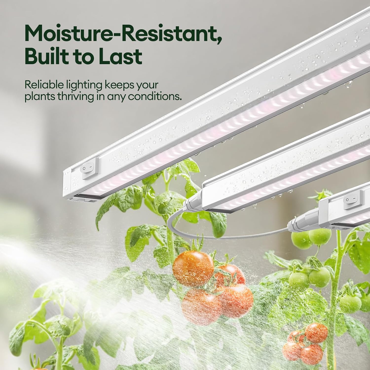 Detalle de Maygrove grow light strips, 1 ft