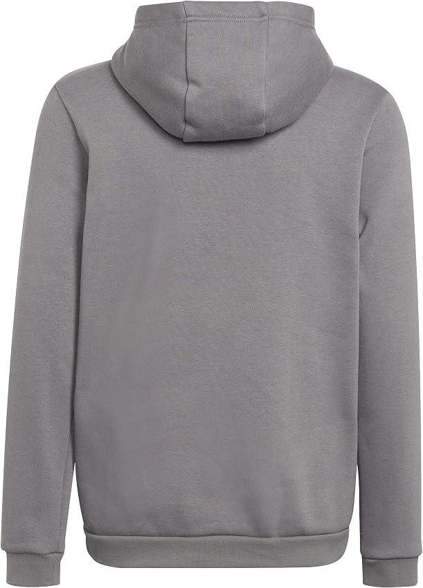 Detalle 1 de adidas Entrada 22 Sweat Hoodie niños 5-6 años