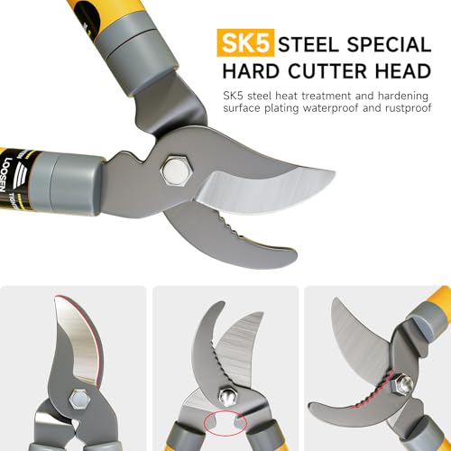 Thumbnail 4 de AIRAJ 42-61cm Telescopic Tree Loppers: Heavy-Duty BYPASS Garden Shears for Thick Branches