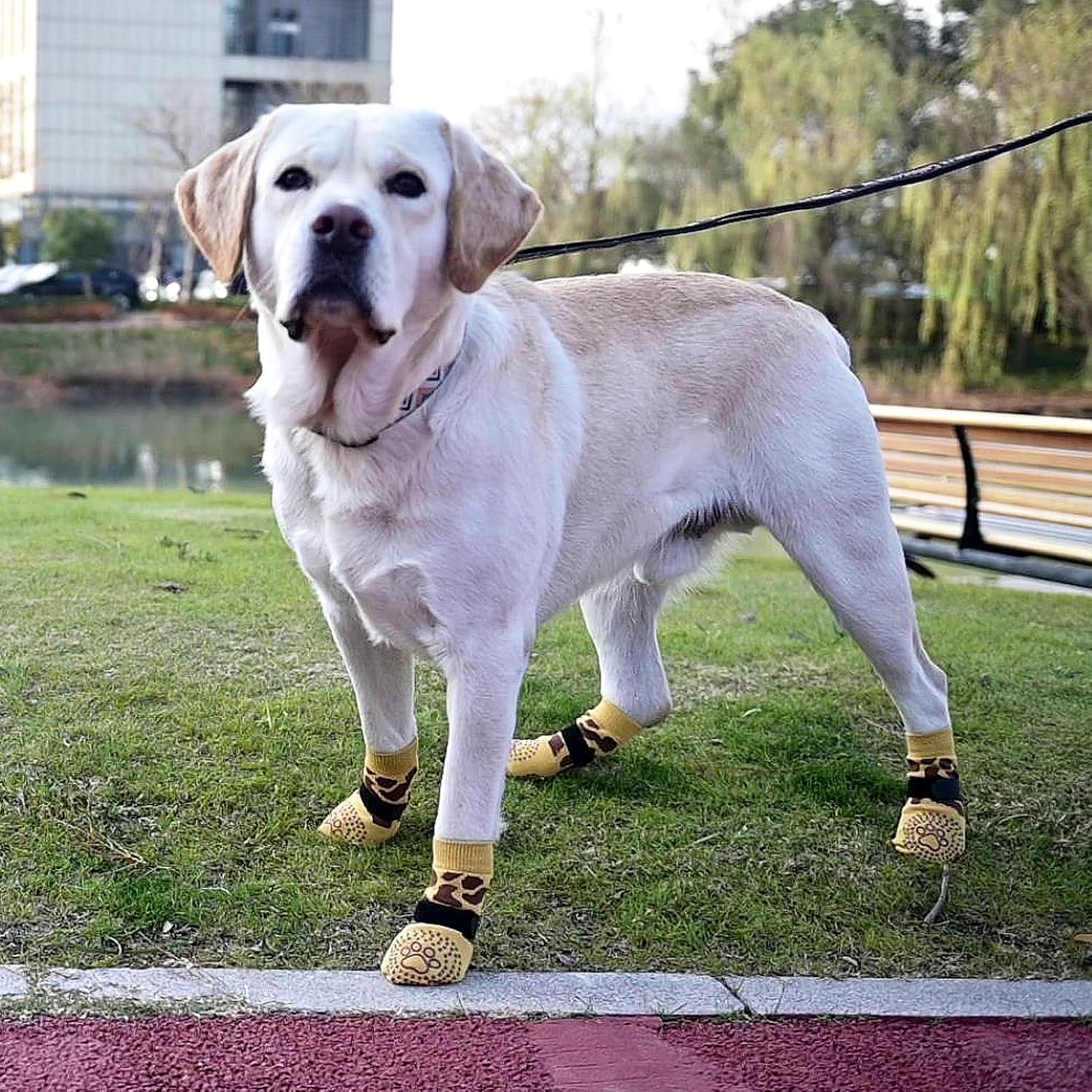 Thumbnail 5 de KOOLTAIL Dog Socks Small/Medium