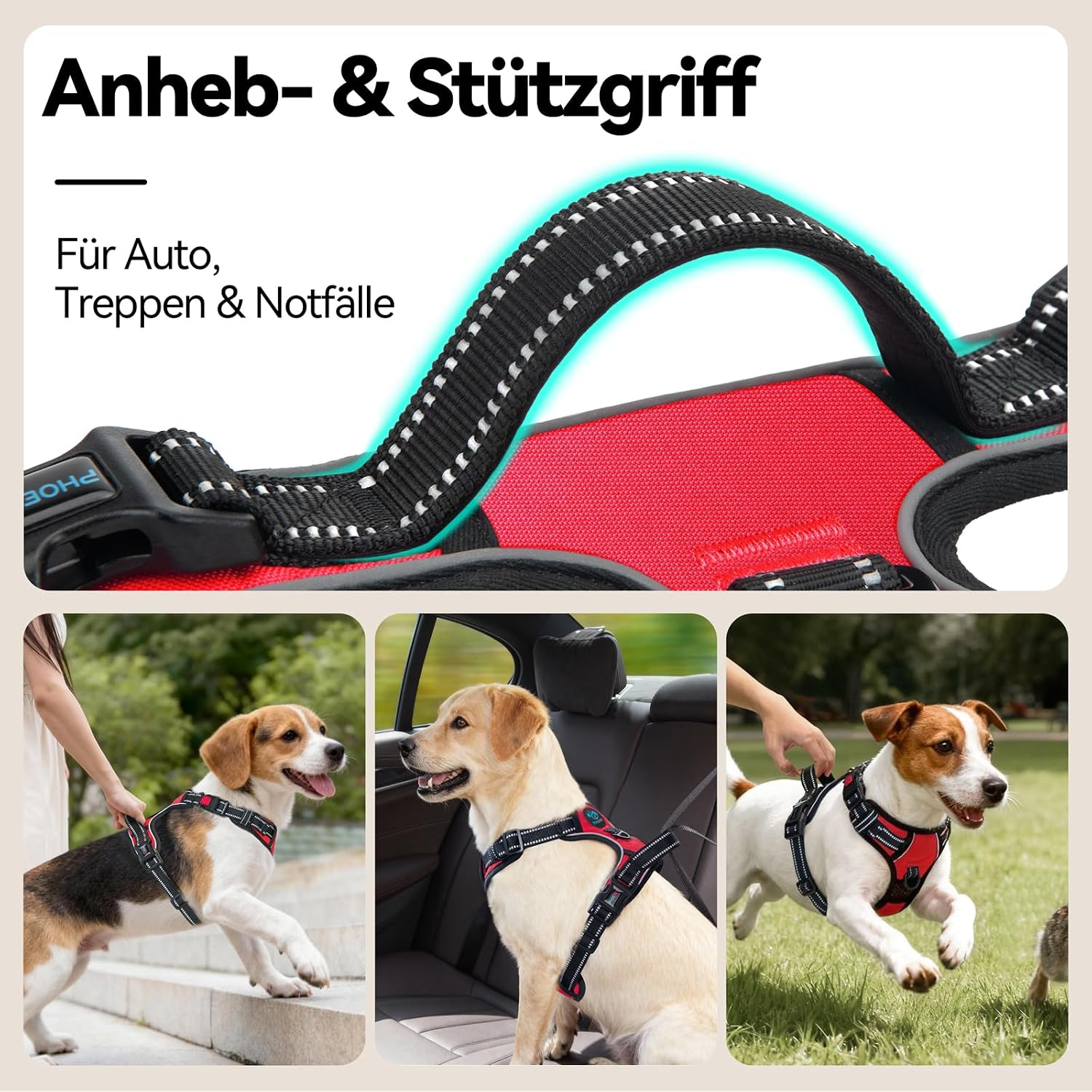 Thumbnail 4 de PHOEPET No Pull Hundegeschirr XL Rot