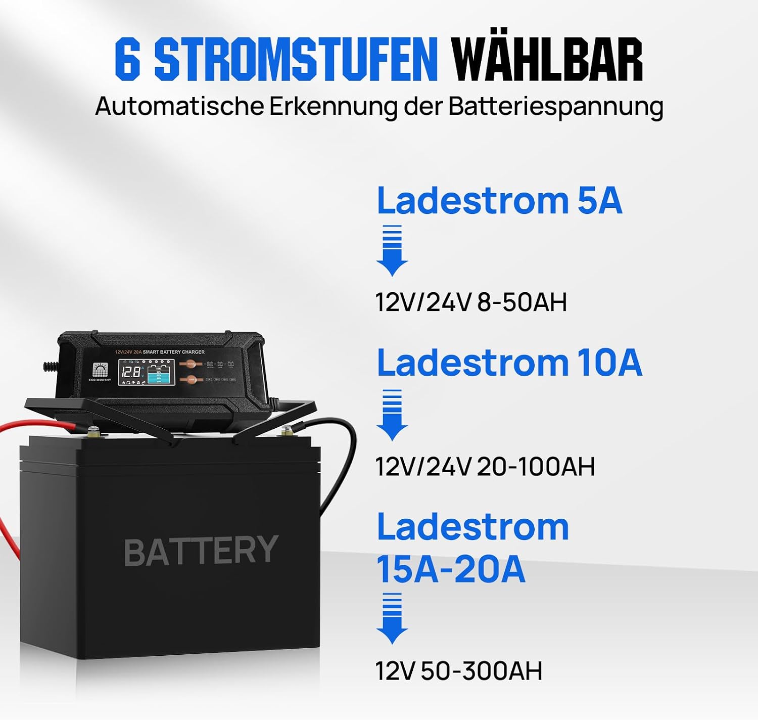 Detalle de ECO-WORTHY 12V/24V 20A LiFePO4 Ladegerät ⚡