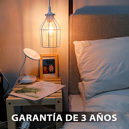 Detalle de LVWIT Bombillas Vintage E27 LED 6.5W