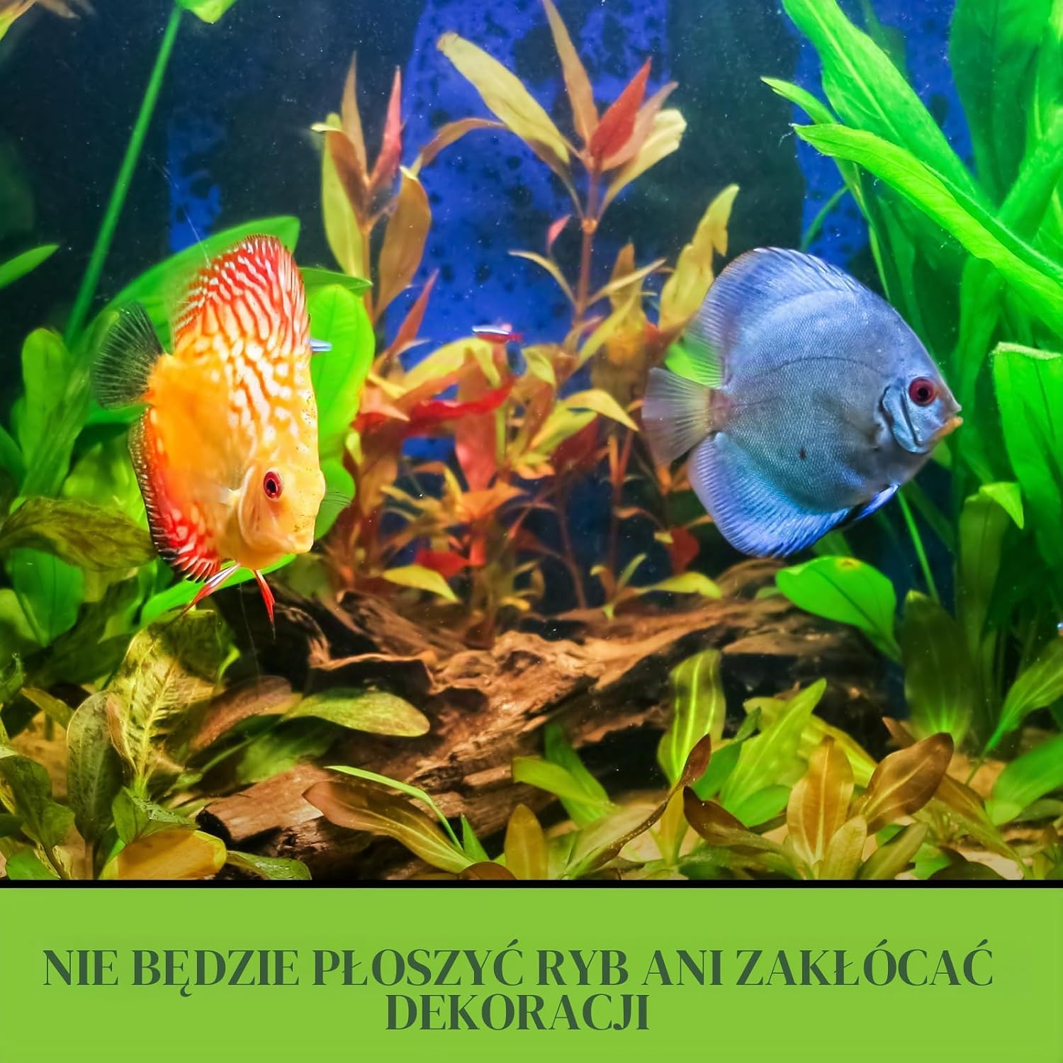 Detalle de Python Products Python System – system do czyszczenia akwarium i wymiany wody, wąż 8 m