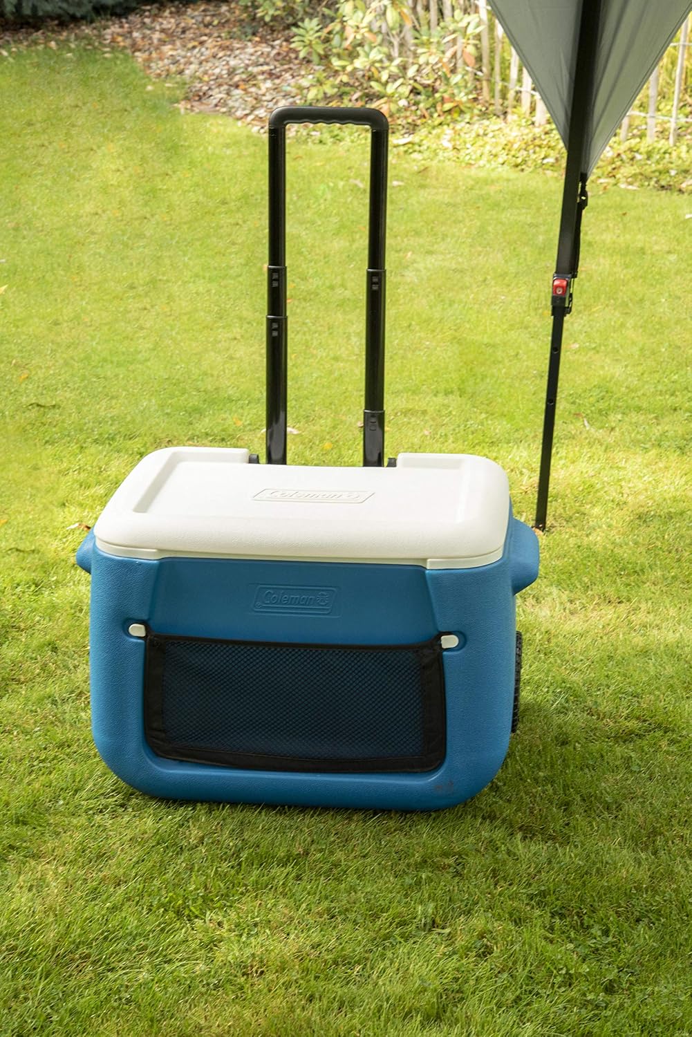 Thumbnail 1 de Coleman 50 QT Poly-lite Ghiacciaia con Rotelle – 47 L
