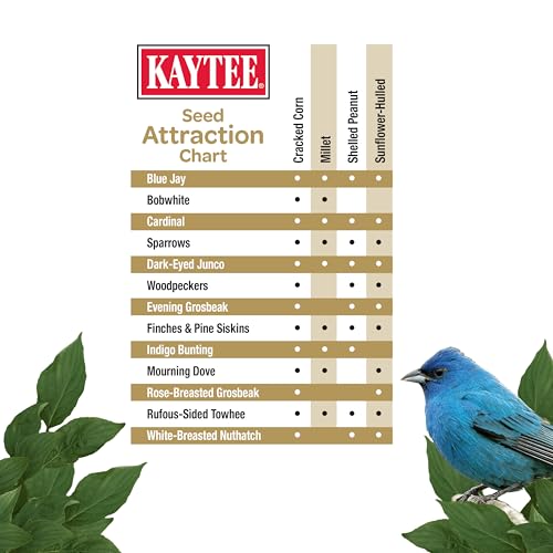 Detalle de Kaytee Wild Bird No Mess Seed Blend for Blue Jays, Woodpeckers, Juncos, Cardinals, Grosbeaks, Sparrows, and Finches (10 lb)
