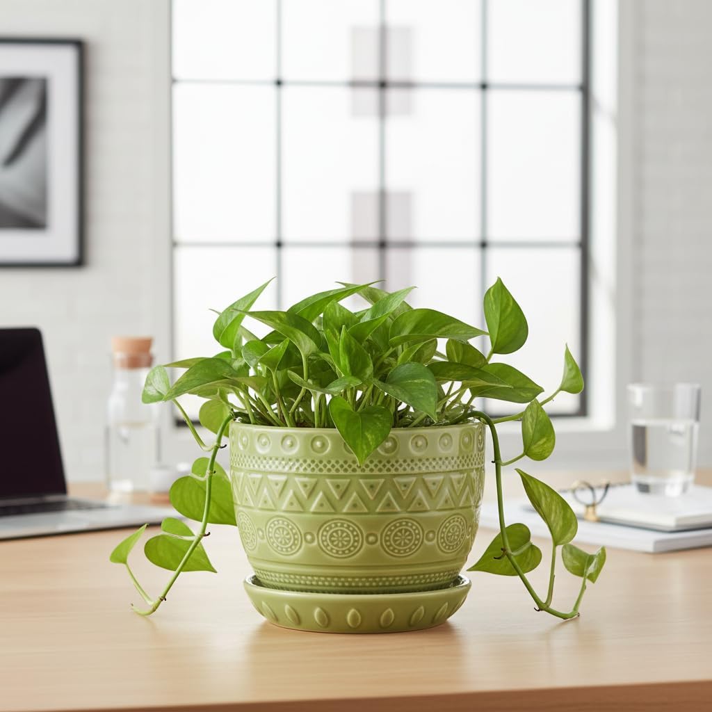 Detalle 1 de EPGardening Ceramic Plant Pot 5.5-Inch