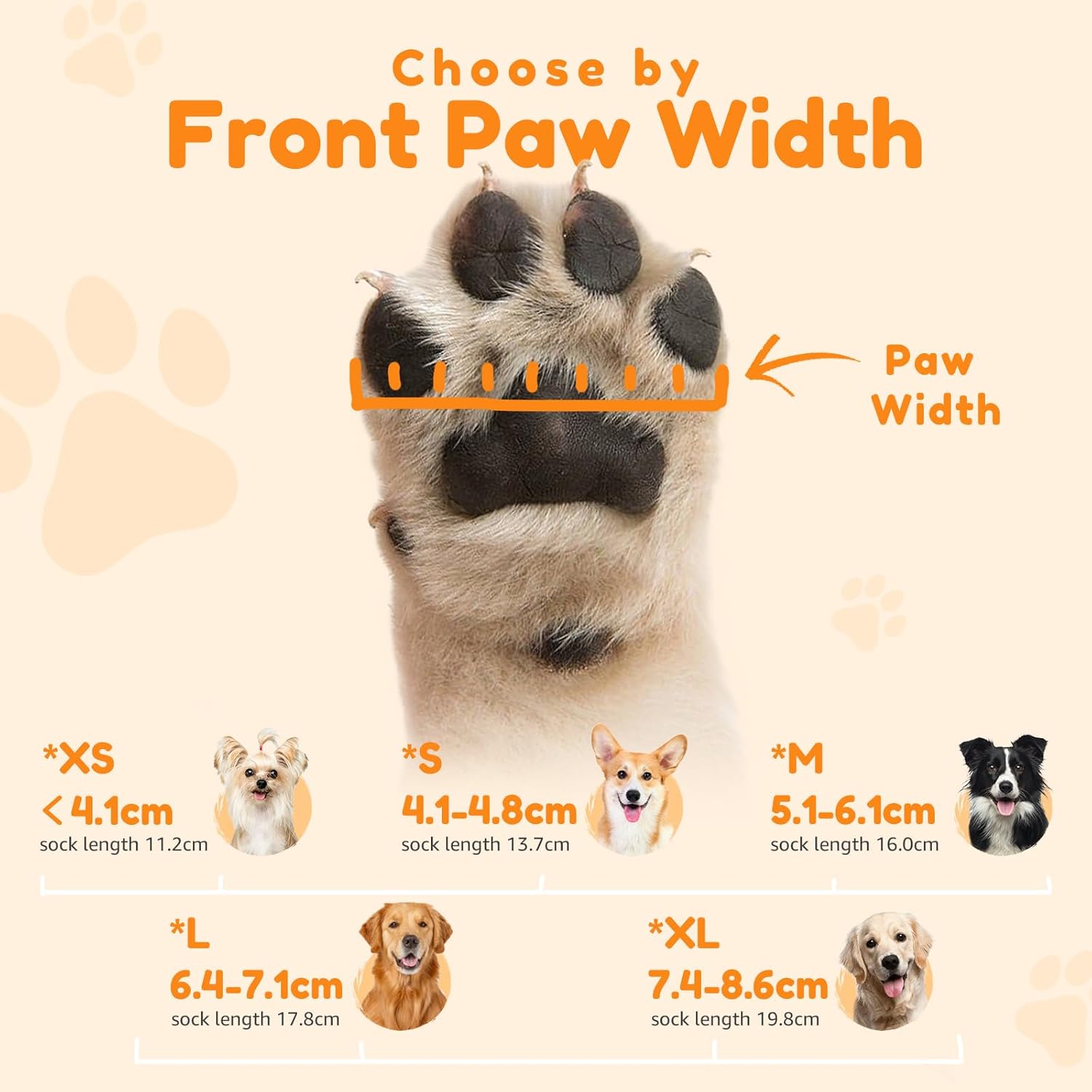 Thumbnail 4 de PICK FOR LIFE Dog Socks XL