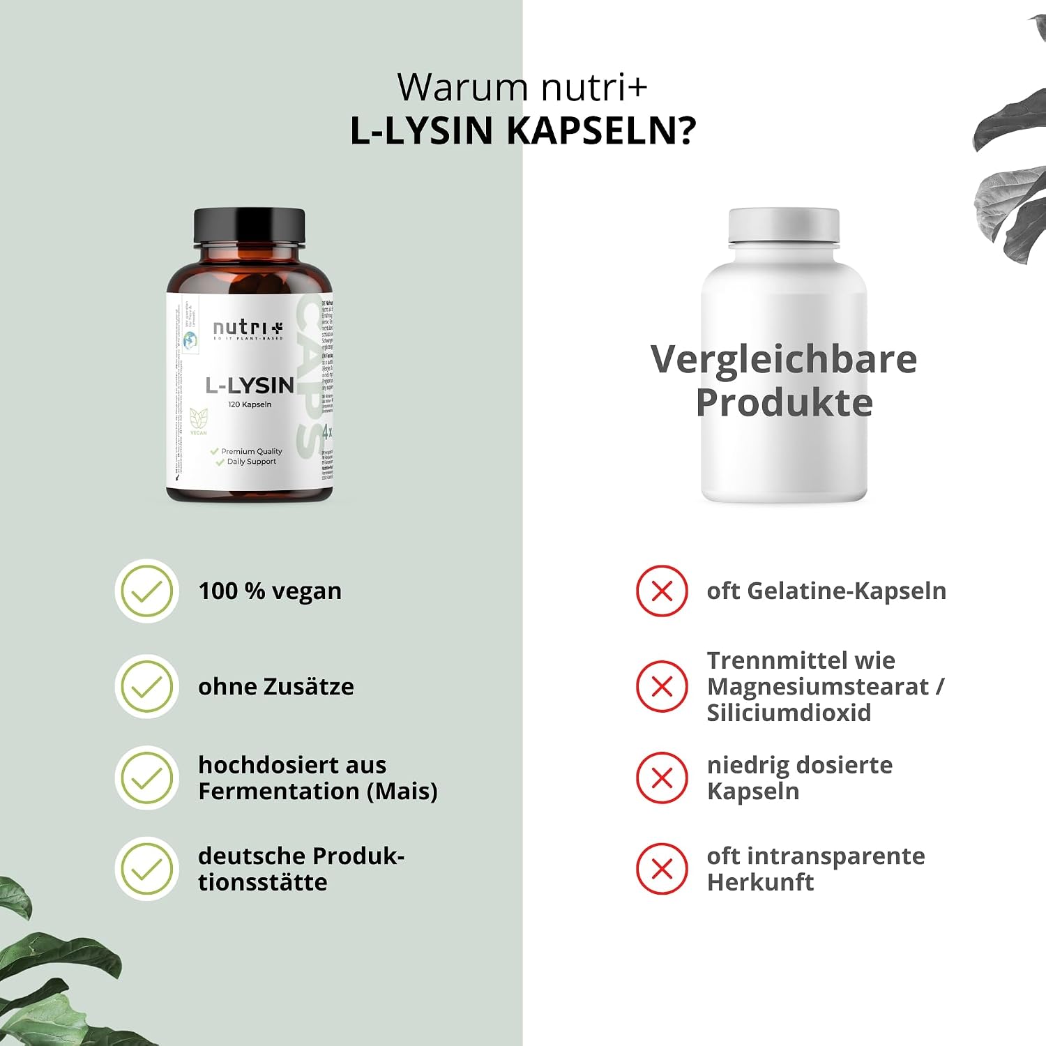 Thumbnail 3 de Nutri+ L-Lysin Kapseln hochdosiert + vegan – 120 Kapseln, 550 mg je Kapsel (2200 mg Tagesdosis)