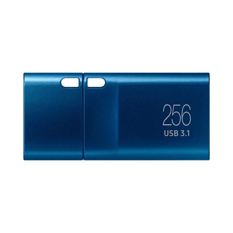 Detalle de Samsung USB Flash Drive 256GB USB Tipo-C: memoria USB-C de alto rendimiento